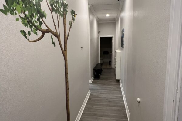 Narrow hallway with tree wall decal and bench at the end.