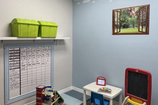 A colorful children's playroom corner with toys, a small table, and a giraffe wall decal.